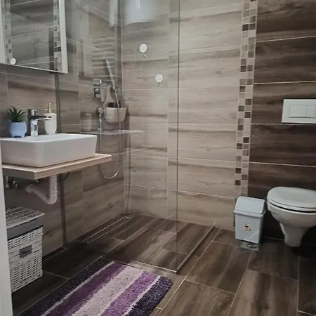 Apartment Zvezdica