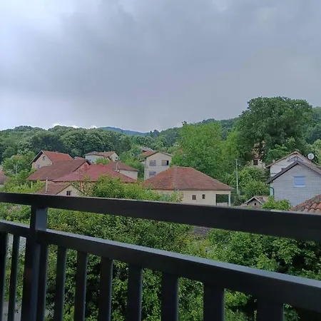 Zvezdica Banja Koviljaca