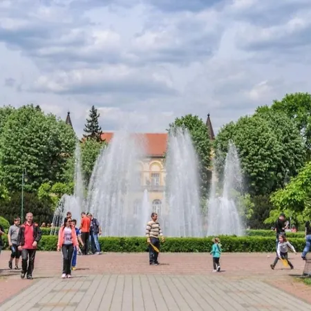 Appartamento Zvezdica